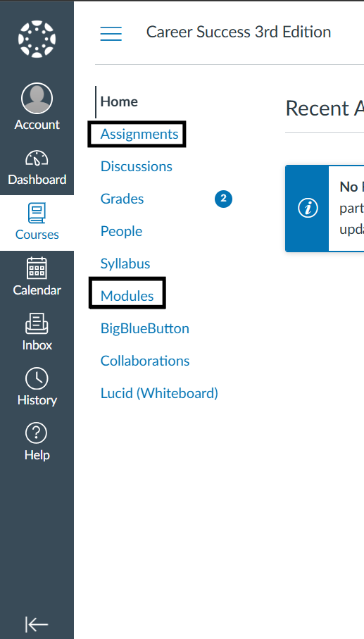 sidebar options in canvas course, modules and assignments are in a black outline